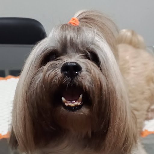 Hedilamar dos Santos Peres Vieira